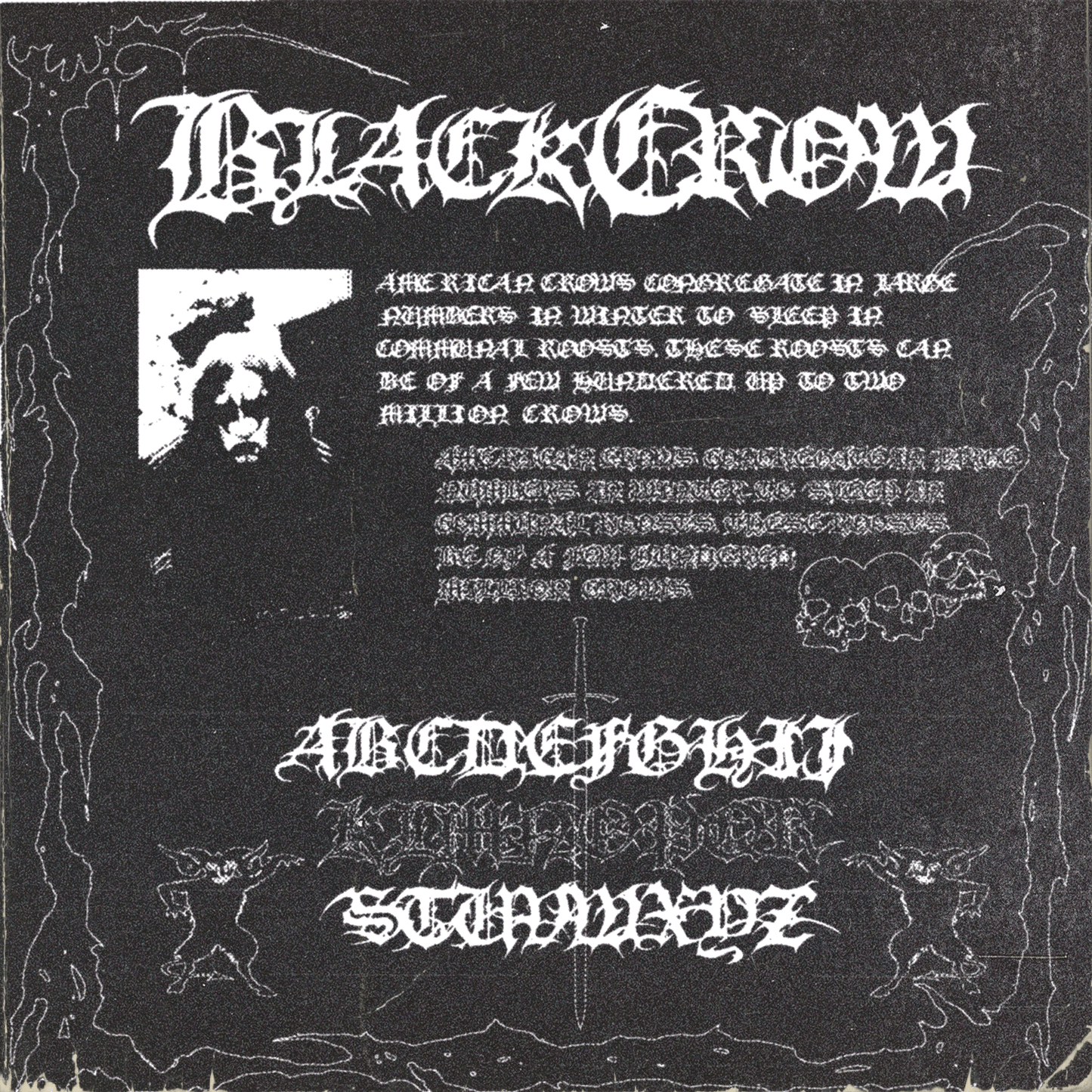 Black Crow Font